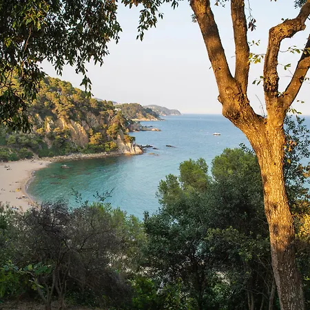 Lloret Santa Rosa By Pierre & Hotel